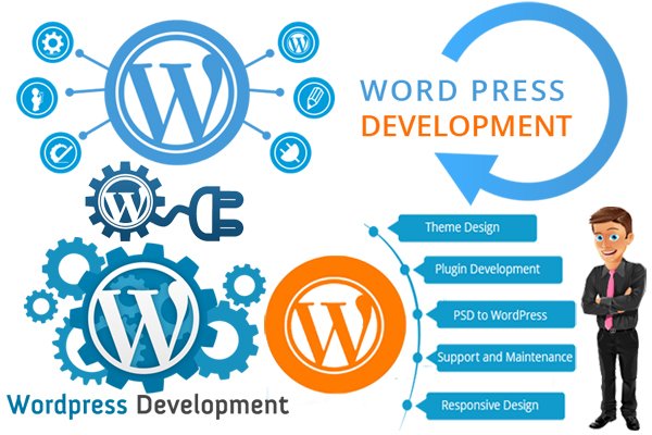 Wordpress Development Company in Haldwani